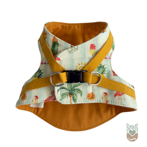 HARNAIS pour chat SHARLY - Summer