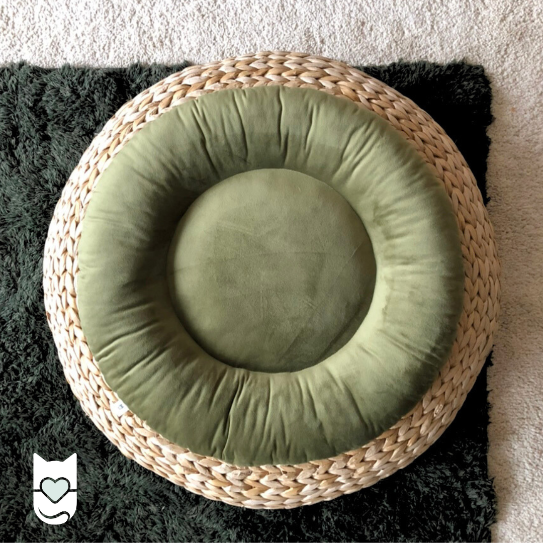 Coussin pour chat RONRON - Vert Olive